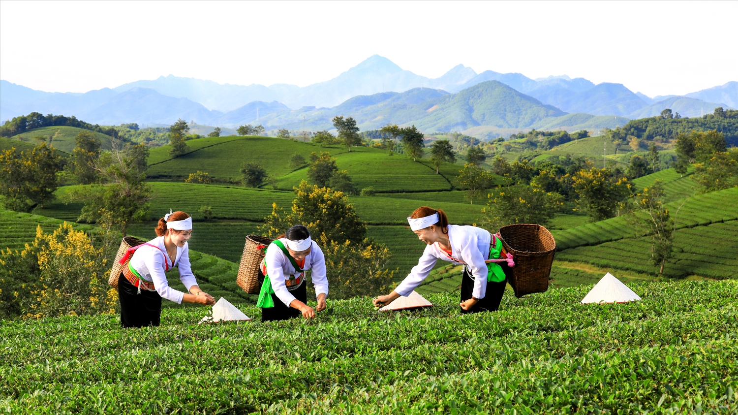Xây dựng tỉnh Phú Thọ trở thành một trong những trung tâm công nghiệp, dịch vụ, logistics, du lịch cả nước- Ảnh 4.