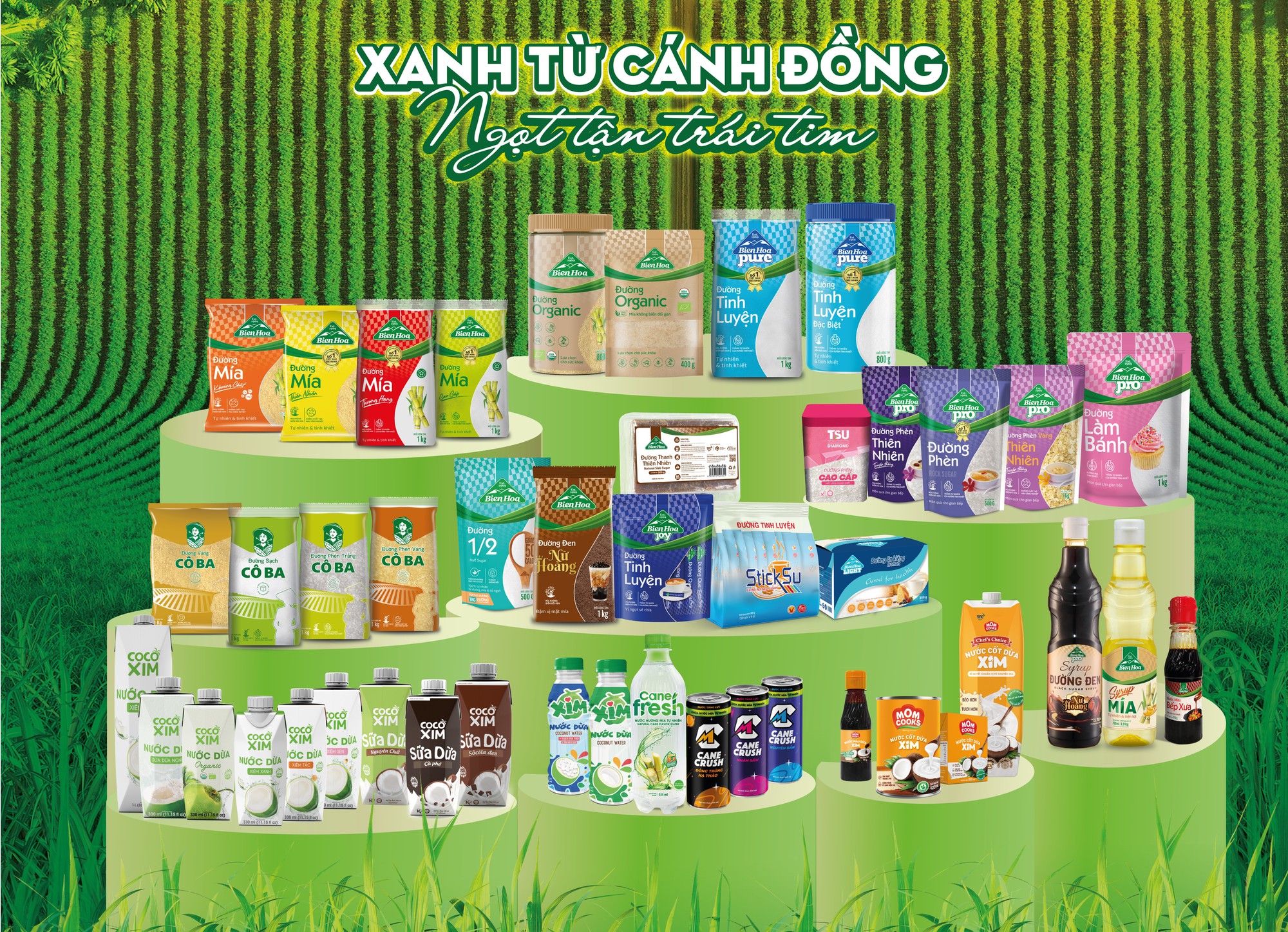 AgriS (SBT) thông báo tổ chức Đại Hội Cổ Đông Niên Độ 2024-2025- Ảnh 3.