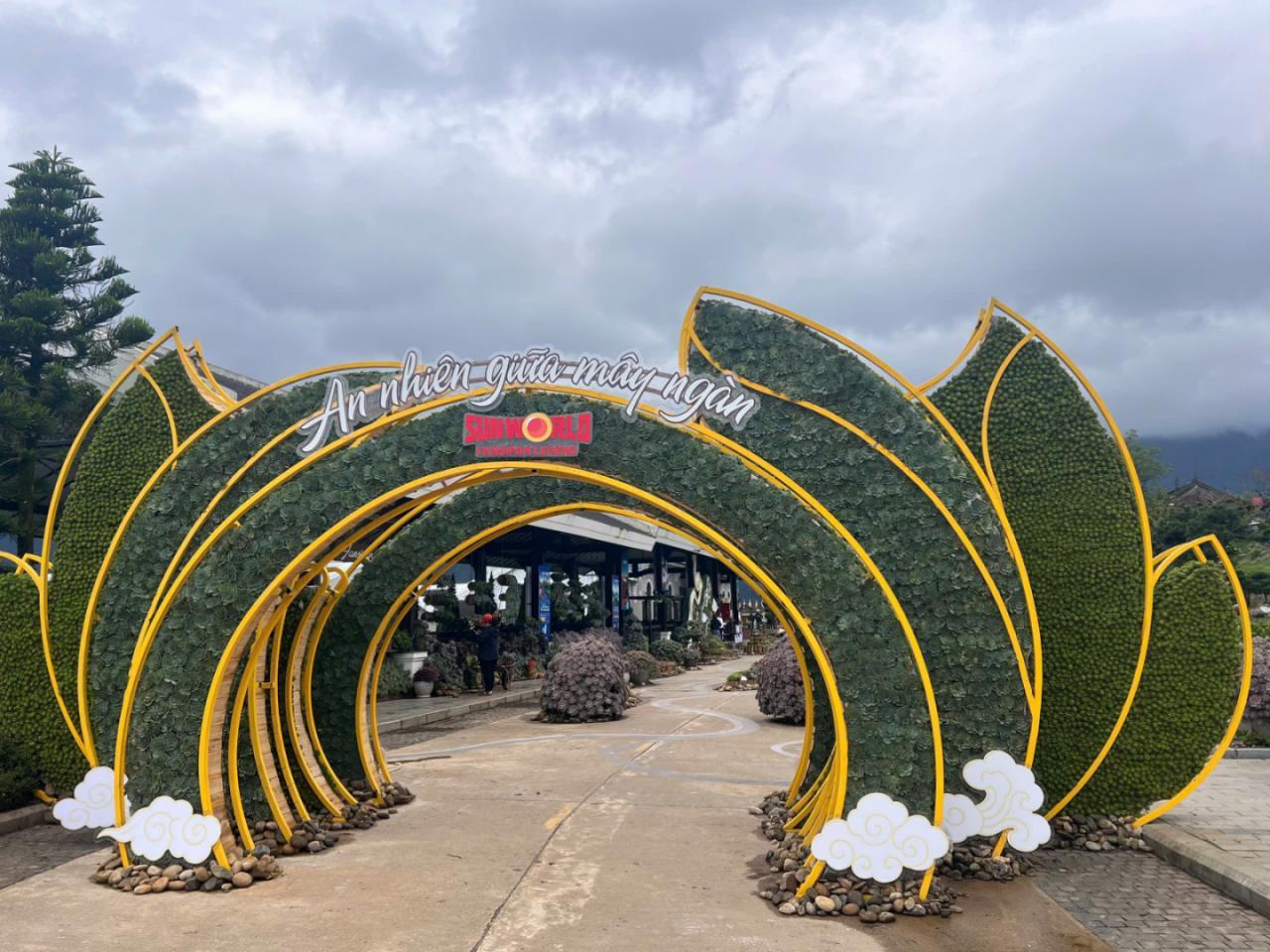 Chiêm ngưỡng thế giới Sen đá độc đáo tại Lễ hội Hoa Sen đá 2025- Ảnh 2.