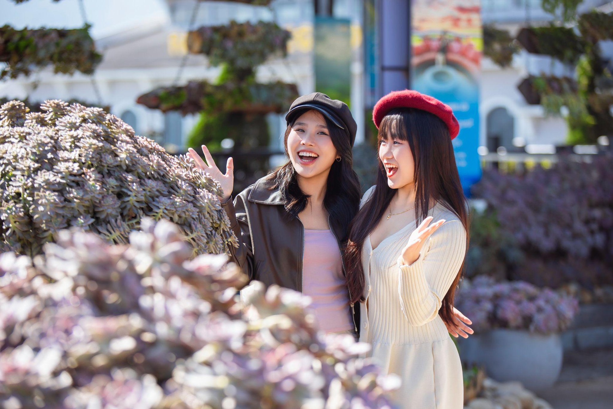 Chiêm ngưỡng thế giới Sen đá độc đáo tại Lễ hội Hoa Sen đá 2025- Ảnh 3.