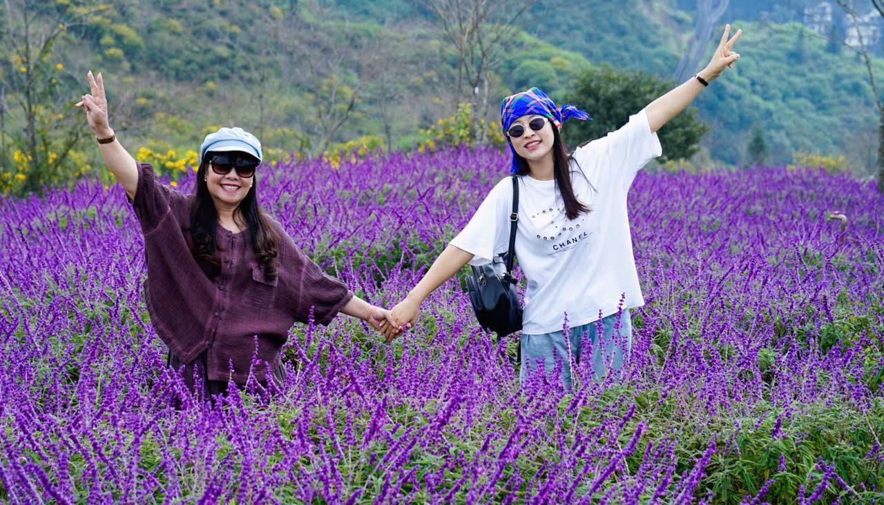 Chiêm ngưỡng thế giới Sen đá độc đáo tại Lễ hội Hoa Sen đá 2025- Ảnh 5.