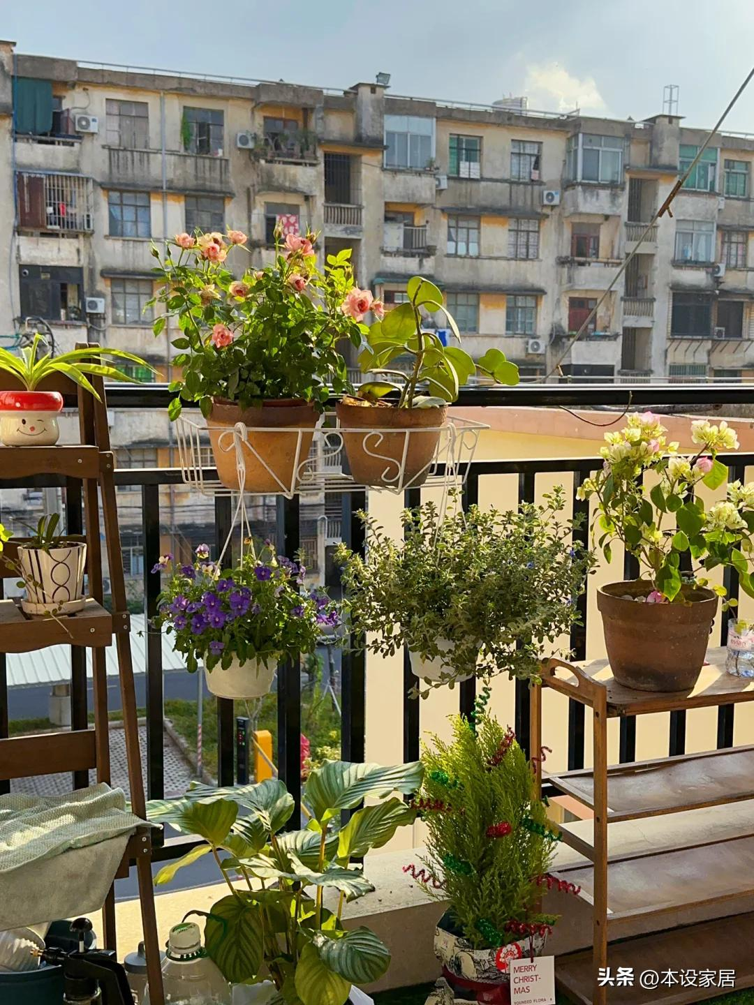 Cô gái 25 tuổi biến phòng trọ 20m² cũ kỹ thành tổ ấm khiến dân mạng sửng sốt: “Đúng là người yêu đời thì ở đâu cũng hạnh phúc!”- Ảnh 13. Cô gái 25 tuổi biến phòng trọ 20m² cũ kỹ thành tổ ấm khiến dân mạng sửng sốt: “Đúng là người yêu đời thì ở đâu cũng hạnh phúc!”- Ảnh 13.