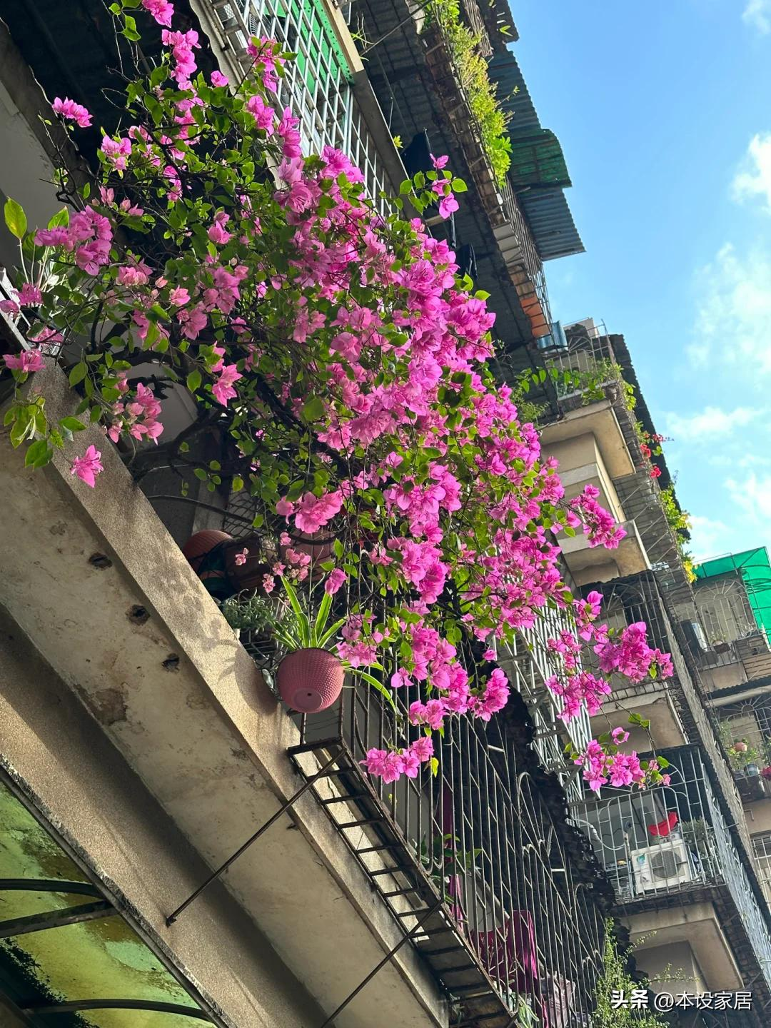 Cô gái 25 tuổi biến phòng trọ 20m² cũ kỹ thành tổ ấm khiến dân mạng sửng sốt: “Đúng là người yêu đời thì ở đâu cũng hạnh phúc!”- Ảnh 11. Cô gái 25 tuổi biến phòng trọ 20m² cũ kỹ thành tổ ấm khiến dân mạng sửng sốt: “Đúng là người yêu đời thì ở đâu cũng hạnh phúc!”- Ảnh 11.