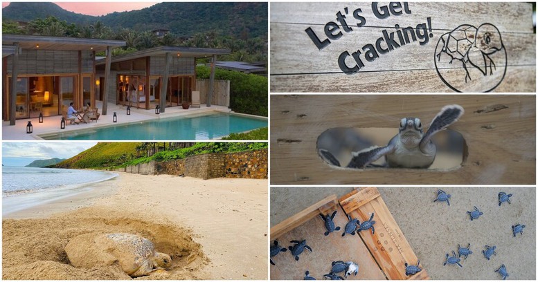 Six Senses Côn Đảo giành Giải thưởng Khách sạn bền vững HICAP 2025- Ảnh 1. Six Senses Côn Đảo giành Giải thưởng Khách sạn bền vững HICAP 2025- Ảnh 1.