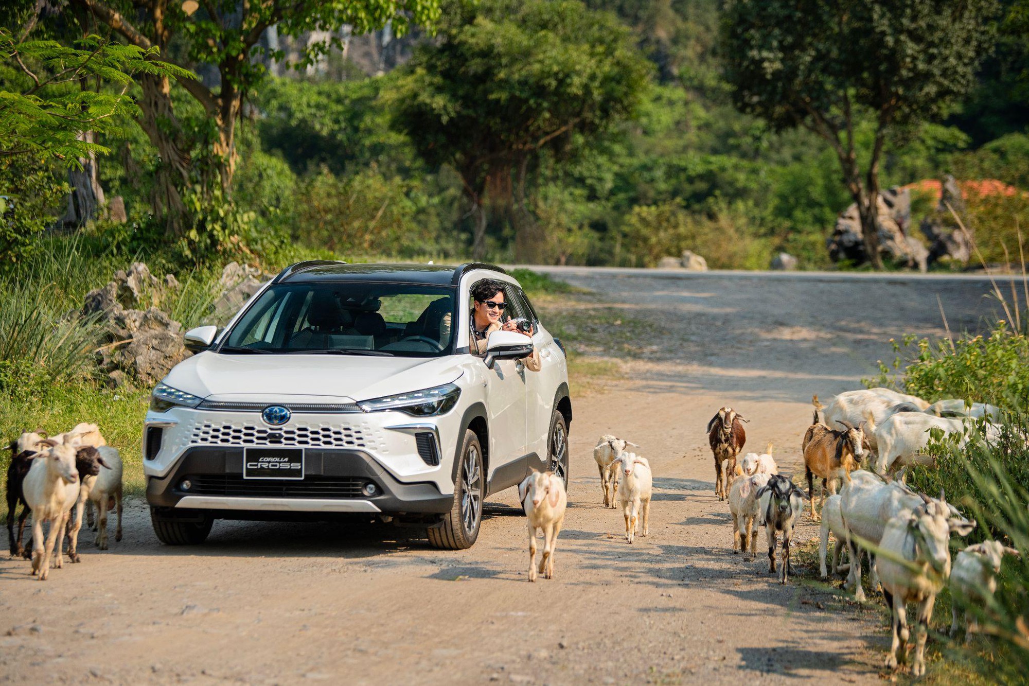 Xe Hybrid Electric có sức hút gì mà Gen Z chọn mua?- Ảnh 2. Xe Hybrid Electric có sức hút gì mà Gen Z chọn mua?- Ảnh 2.