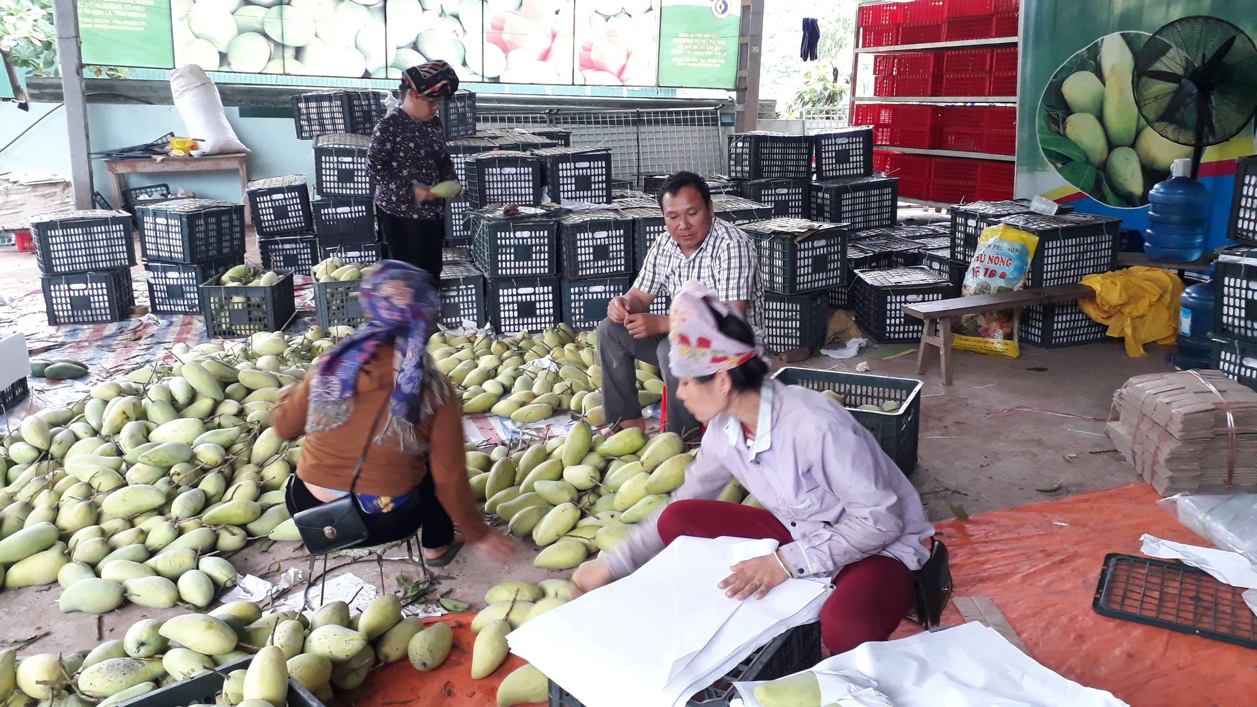 Xã Chiềng Hặc phấn đấu đạt chuẩn nông thôn mới vào năm 2030- Ảnh 2. Xã Chiềng Hặc phấn đấu đạt chuẩn nông thôn mới vào năm 2030- Ảnh 2.