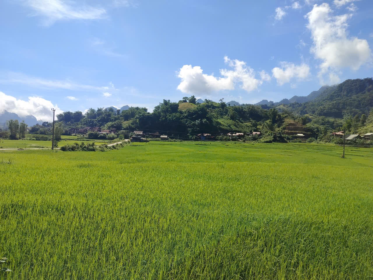 Xã Chiềng Hặc phấn đấu đạt chuẩn nông thôn mới vào năm 2030- Ảnh 3. Xã Chiềng Hặc phấn đấu đạt chuẩn nông thôn mới vào năm 2030- Ảnh 3.