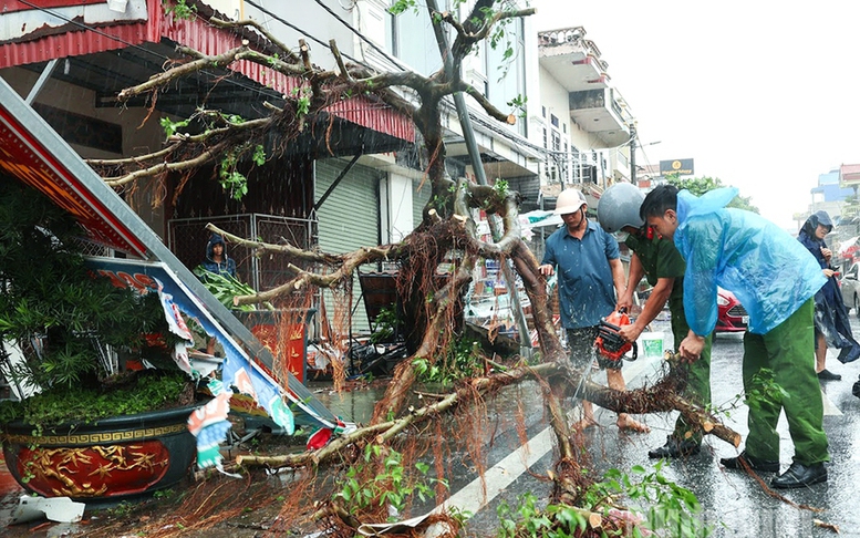 Lãnh đạo các nước gửi điện thăm hỏi, thư chia buồn về thiệt hại do bão số 10 tại Việt Nam- Ảnh 5. Lãnh đạo các nước gửi điện thăm hỏi, thư chia buồn về thiệt hại do bão số 10 tại Việt Nam- Ảnh 5.