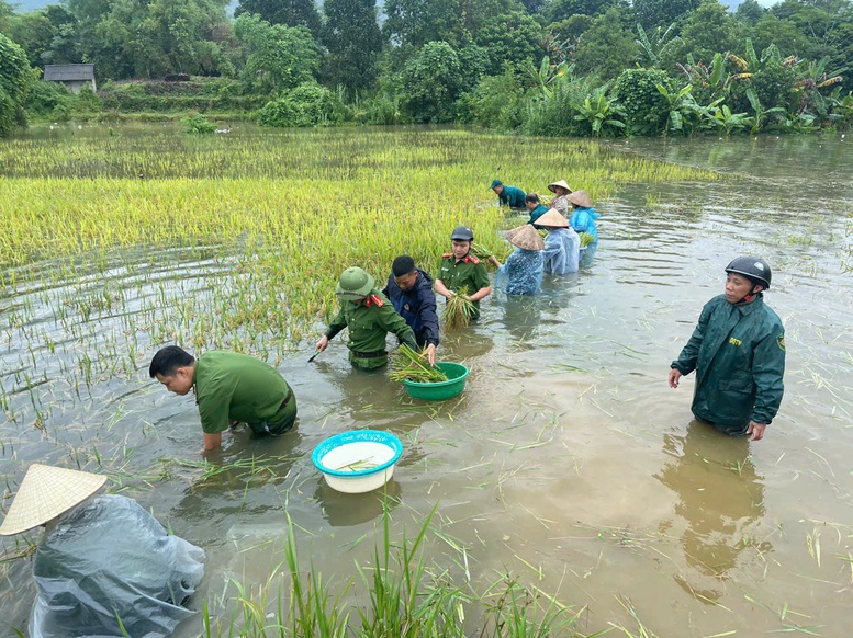 Thủ tướng yêu cầu phải thần tốc hơn nữa, huy động tối đa lực lượng khắc phục nhanh nhất hậu quả bão, mưa lũ- Ảnh 1.
