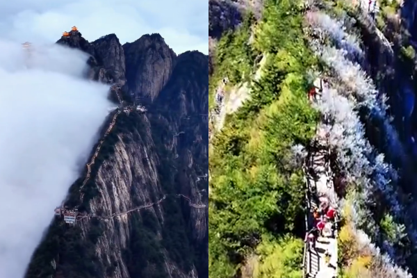 Khung cảnh "đường phân chia âm dương" đẹp đến nín thở, hai mùa cách nhau chỉ một sợi chỉ- Ảnh 1. Khung cảnh "đường phân chia âm dương" đẹp đến nín thở, hai mùa cách nhau chỉ một sợi chỉ- Ảnh 1.