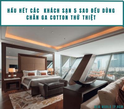 Bí mật giấc ngủ 5 sao: Vì sao họ chỉ chọn cotton thứ thiệt?- Ảnh 1.
