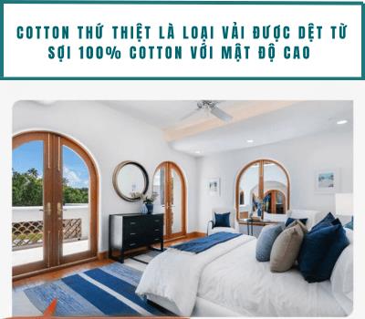 Bí mật giấc ngủ 5 sao: Vì sao họ chỉ chọn cotton thứ thiệt?- Ảnh 2.
