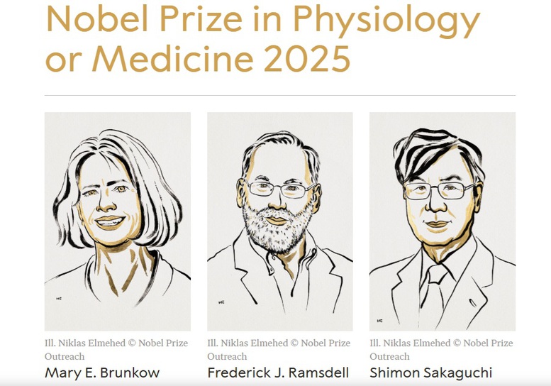 NOBEL 2025: Giải Y sinh trao cho 3 nhà khoa học với nghiên cứu miễn dịch- Ảnh 1. NOBEL 2025: Giải Y sinh trao cho 3 nhà khoa học với nghiên cứu miễn dịch- Ảnh 1.
