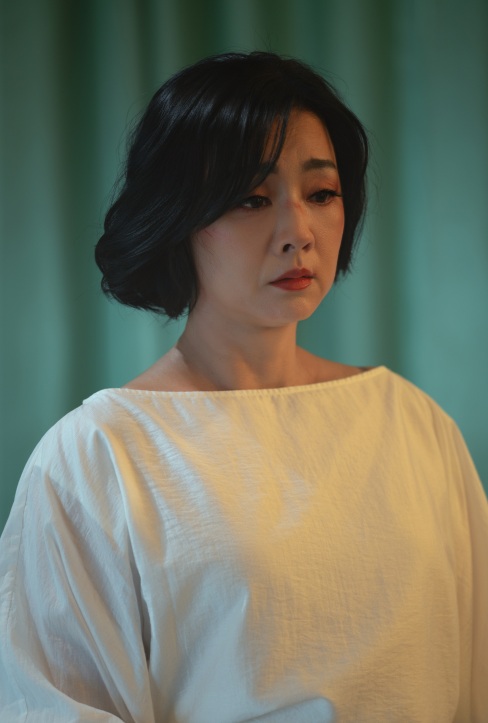 Nữ NSND 69 tuổi tuyên bố về Đàm Vĩnh Hưng- Ảnh 3. Nữ NSND 69 tuổi tuyên bố về Đàm Vĩnh Hưng- Ảnh 3.