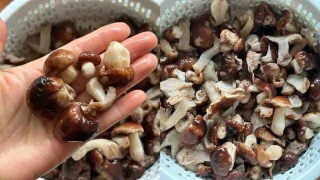 Thịt ba chỉ nấu thế này ngon tuyệt hảo, nước dùng sóng sánh rưới lên cơm nóng ăn "bao phê"- Ảnh 2.