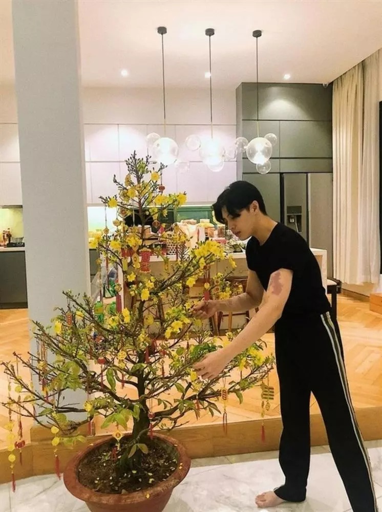 Nam ca sĩ Vbiz sống c&ocirc; đơn trong căn biệt thự 30 tỷ, 36 tuổi c&oacute; đủ tiền t&agrave;i danh tiếng chỉ thiếu mỗi điều n&agrave;y- Ảnh 8.