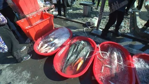 4 loại thịt đ&aacute;ng lẽ phải BỊ CẤM từ l&acirc;u, vậy m&agrave; nhiều người vẫn ăn- Ảnh 1.