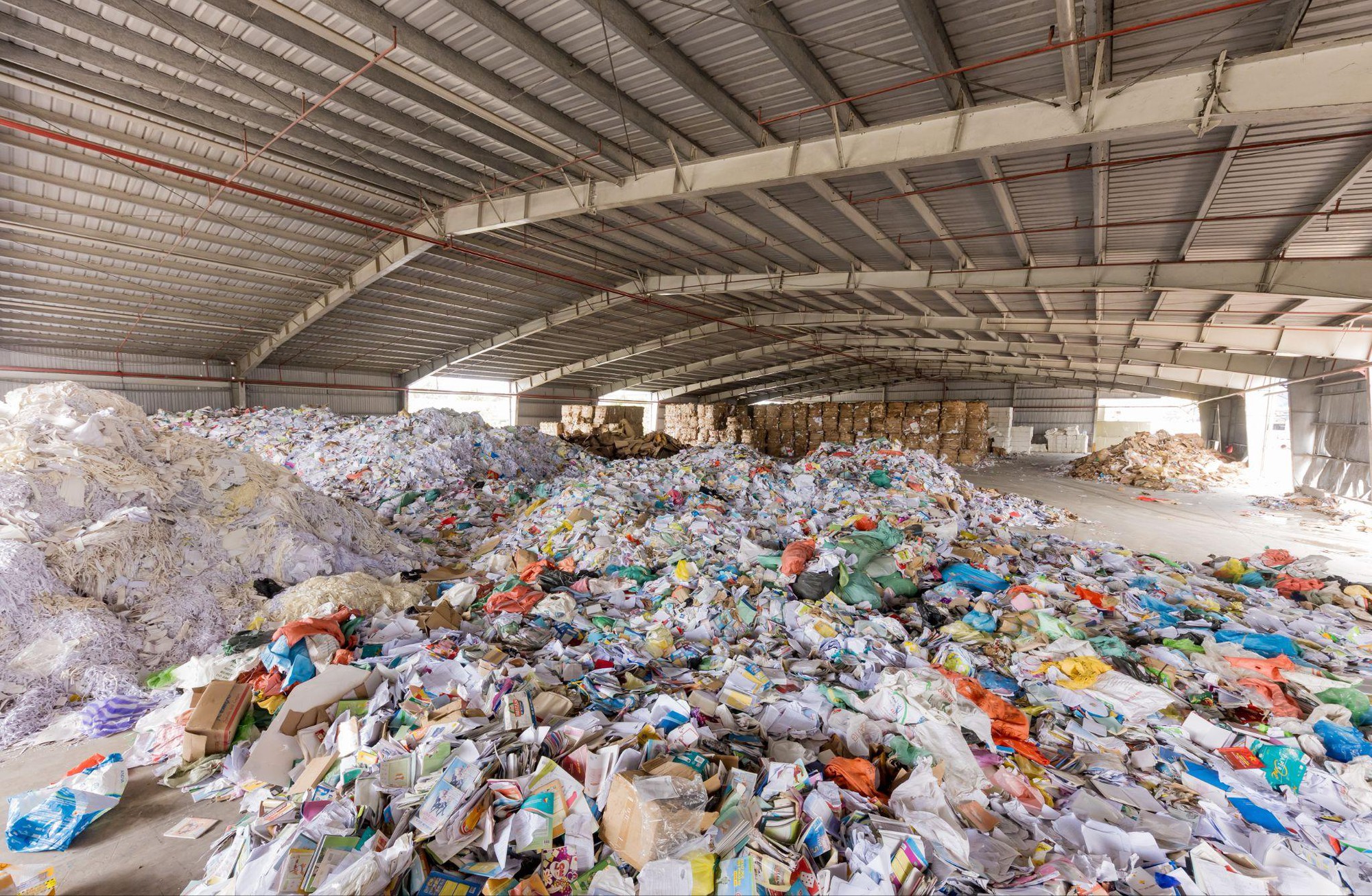 Tưởng đống giấy lộn, ai ngờ lại là "vũ khí" cứu 15,7 triệu cây xanh: Đột nhập nhà máy "hô biến" rác thành tài nguyên tại Thanh Hóa!- Ảnh 1.