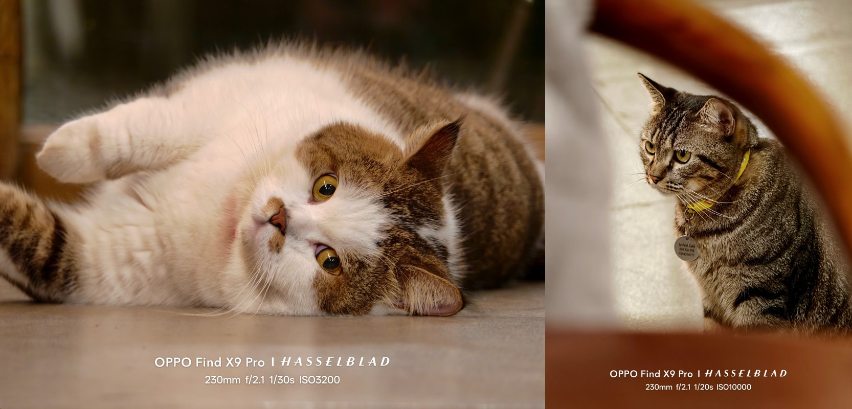 Dạo phố Hà Nội mùa thu cùng OPPO Find X9 Pro: Camera 200MP zoom siêu xa, macro rõ từng chi tiết- Ảnh 12.