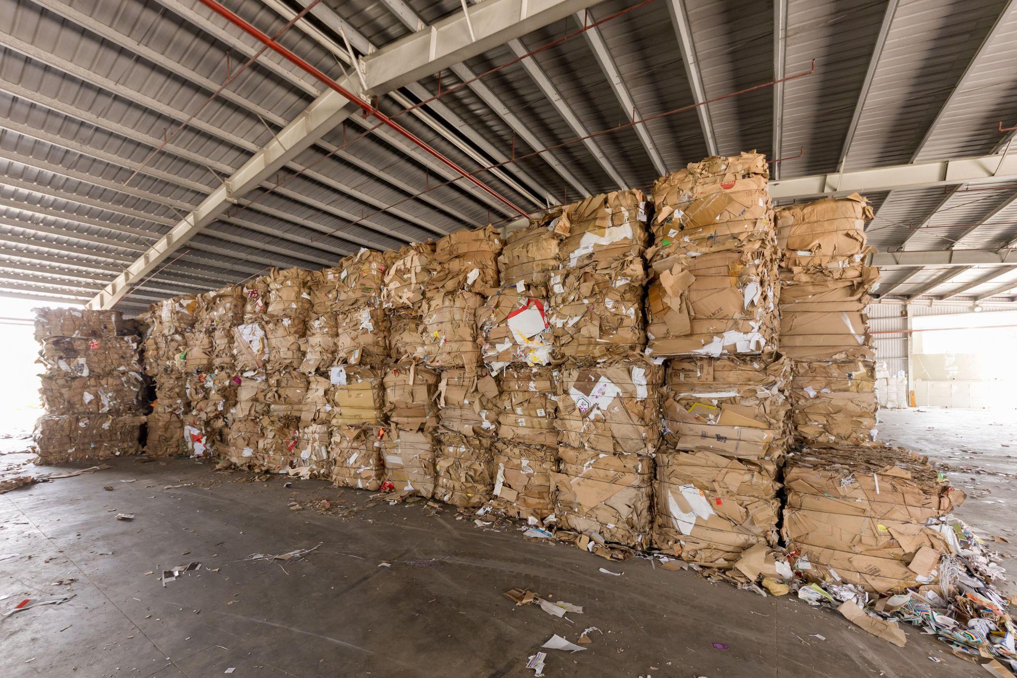 Tưởng đống giấy lộn, ai ngờ lại là "vũ khí" cứu 15,7 triệu cây xanh: Đột nhập nhà máy "hô biến" rác thành tài nguyên tại Thanh Hóa!- Ảnh 9.