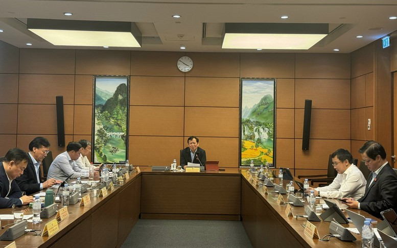 Xây dựng Luật Dân số xuất phát từ yêu cầu thực tiễn- Ảnh 3.