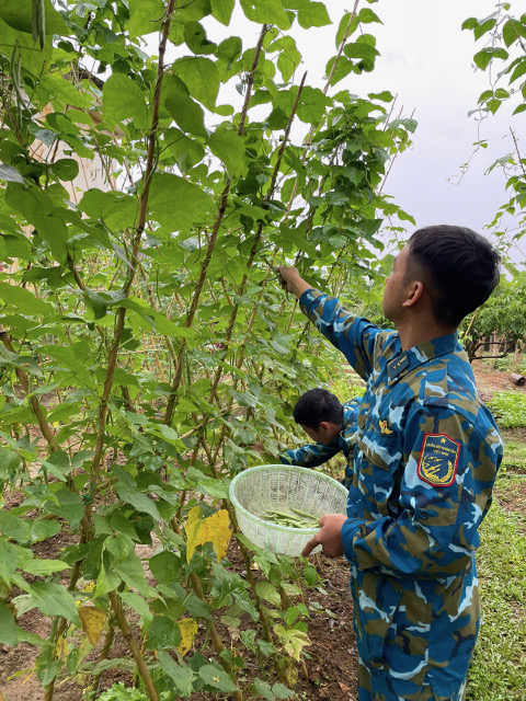 Tăng gia sản xuất, góp phần cải thiện đời sống bộ đội.
