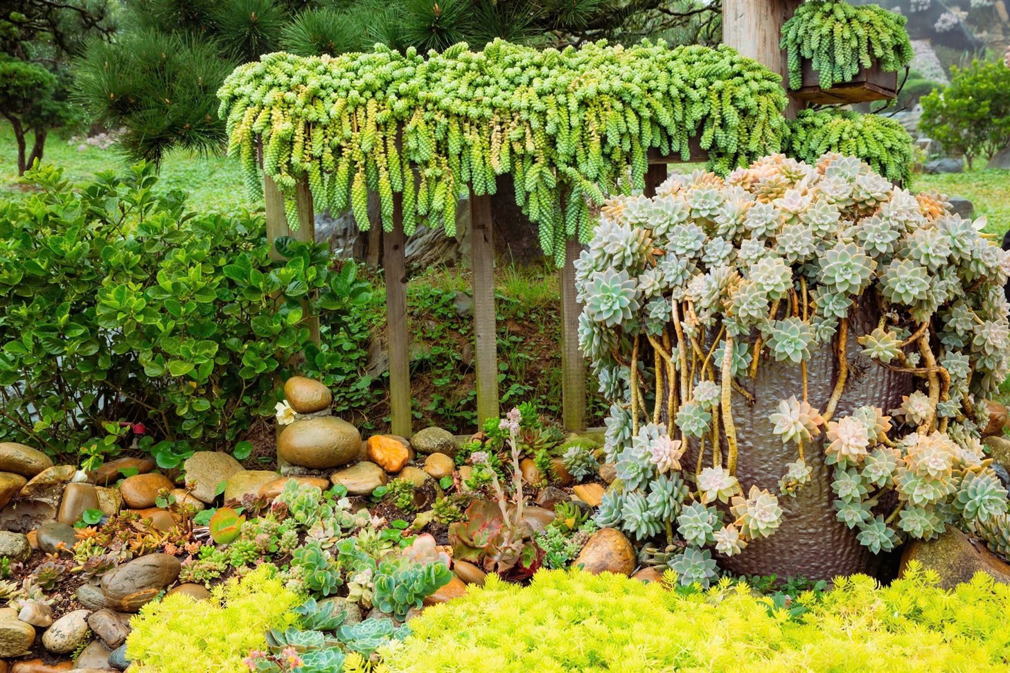 Sun World Fansipan Legend tung ưu đãi “khủng” cho người dân Lào Cai mới- Ảnh 3.