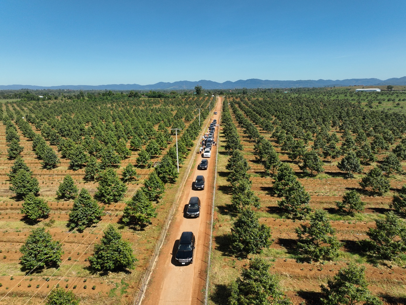 Sự trở lại của HAGL và dấu ấn “kiến trúc sư” OCBS trong bức tranh chiến lược mới- Ảnh 1.