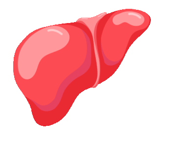 2 vợ chồng ngoài 50 tuổi cùng lúc phát hiện ung thư gan, bác sĩ cảnh báo: Bỏ ngay 3 loại thực phẩm này đi, để trong tủ lạnh cũng không được!- Ảnh 3. 2 vợ chồng ngoài 50 tuổi cùng lúc phát hiện ung thư gan, bác sĩ cảnh báo: Bỏ ngay 3 loại thực phẩm này đi, để trong tủ lạnh cũng không được!- Ảnh 3.