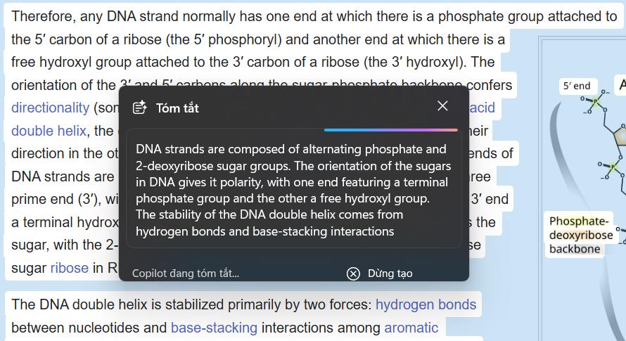 Trải nghiệm Click-to-do: Tính năng hữu ích của Windows 11 25H2 dành riêng cho laptop AI- Ảnh 4.