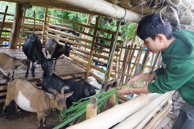 Tình cha - con vượt qua biên giới: Ấm áp nơi phên dậu Tổ quốc- Ảnh 4.