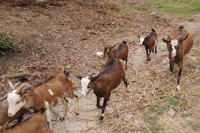 Tình cha - con vượt qua biên giới: Ấm áp nơi phên dậu Tổ quốc- Ảnh 2.