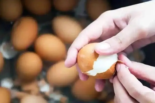 Người ăn trứng thường xuyên vào bữa sáng, sau nửa năm, cơ thể có thể xuất hiện 6 thay đổi- Ảnh 1. Người ăn trứng thường xuyên vào bữa sáng, sau nửa năm, cơ thể có thể xuất hiện 6 thay đổi- Ảnh 1.