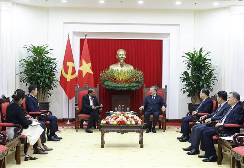 Tổng Bí thư Tô Lâm tiếp Đại sứ Singapore tại Việt Nam- Ảnh 3.