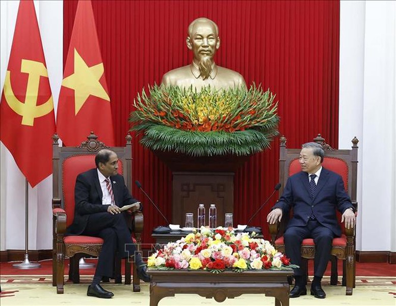 Tổng Bí thư Tô Lâm tiếp Đại sứ Singapore tại Việt Nam- Ảnh 2.