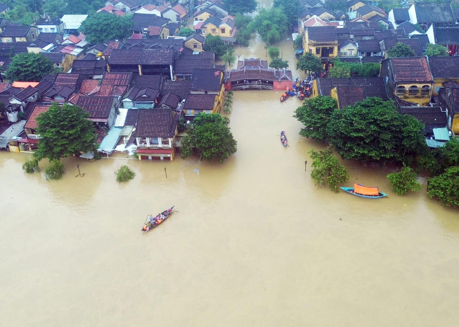 Tăng cường miễn dịch - l&aacute; chắn vững v&agrave;ng cho người bệnh mạn t&iacute;nh ph&ograve;ng c&uacute;m m&ugrave;a trong thời tiết cực đoan- Ảnh 1.