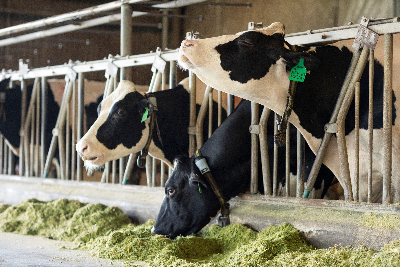 PR2_Vinamilk_GF_A2_Afamily_Anh_2_trong_bai_60856a87-05b9-47ee-94ab-6e517c8ea27b PR2_Vinamilk_GF_A2_Afamily_Anh_2_trong_bai_60856a87-05b9-47ee-94ab-6e517c8ea27b