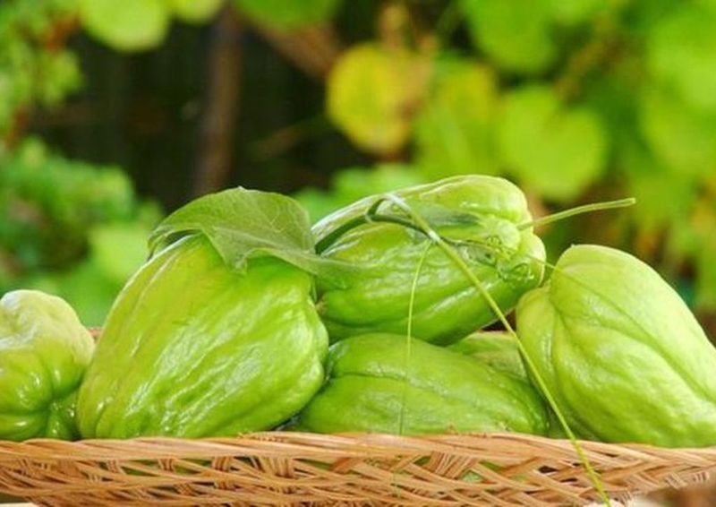 Đến m&ugrave;a đ&ocirc;ng l&agrave; phải ăn loại rau được cho l&agrave; chứa lượng selen &lsquo;gấp 50 lần h&agrave;nh t&acirc;y&rsquo;, chị em đổ x&ocirc; mua v&igrave; nhiều lợi &iacute;ch kh&ocirc;ng ngờ- Ảnh 1.