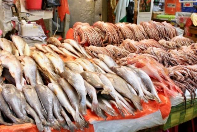 3 loại cá đầy ký sinh trùng người bán chẳng bao giờ ăn- Ảnh 1. 3 loại cá đầy ký sinh trùng người bán chẳng bao giờ ăn- Ảnh 1.