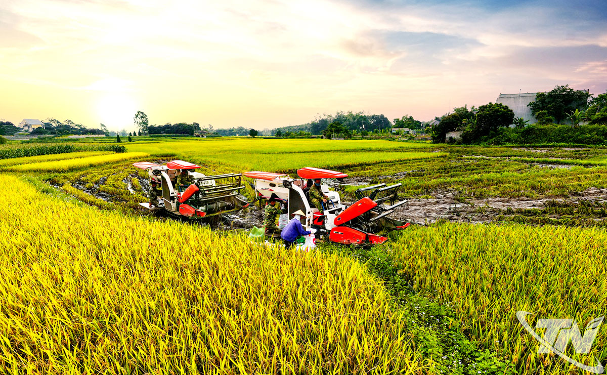 Cơ giới hóa nông nghiệp trong thời đại 4.0- Ảnh 1.