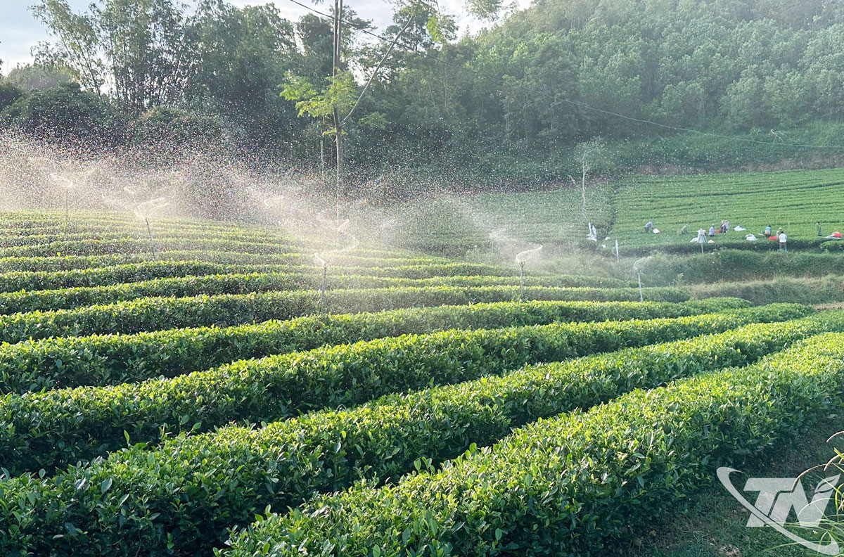 Cơ giới hóa nông nghiệp trong thời đại 4.0- Ảnh 4.