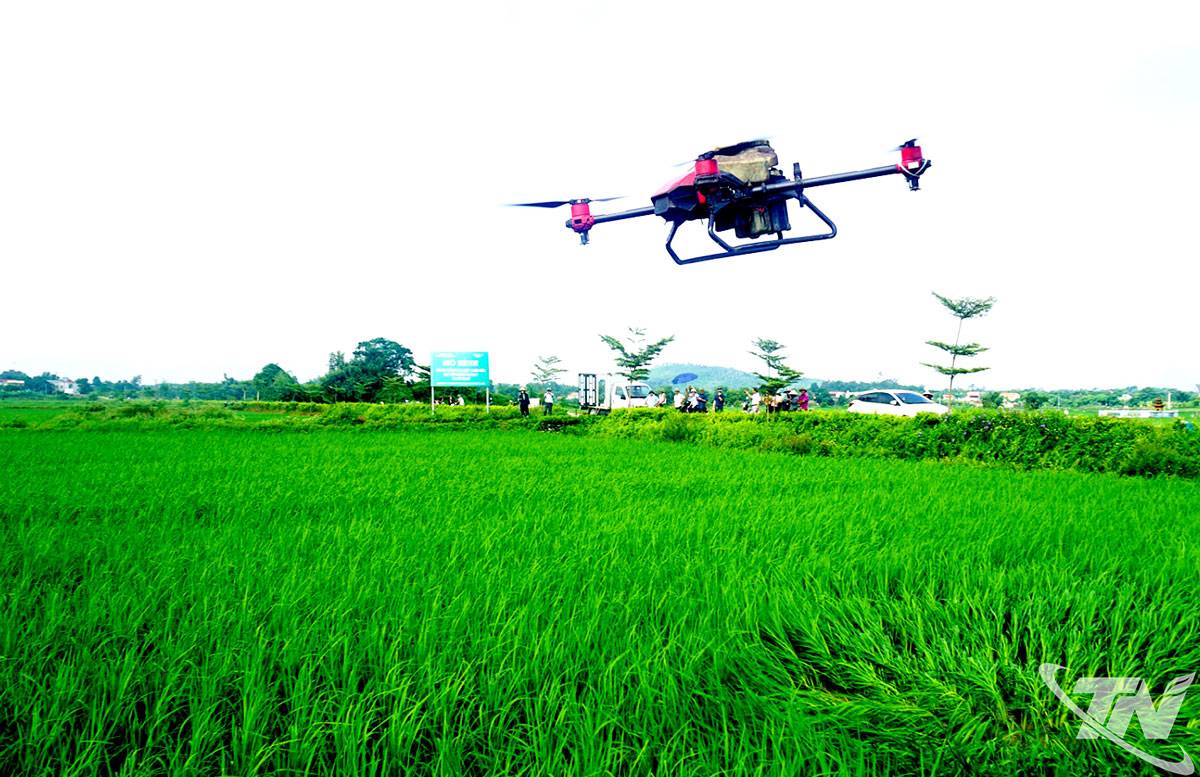 Cơ giới hóa nông nghiệp trong thời đại 4.0- Ảnh 3.