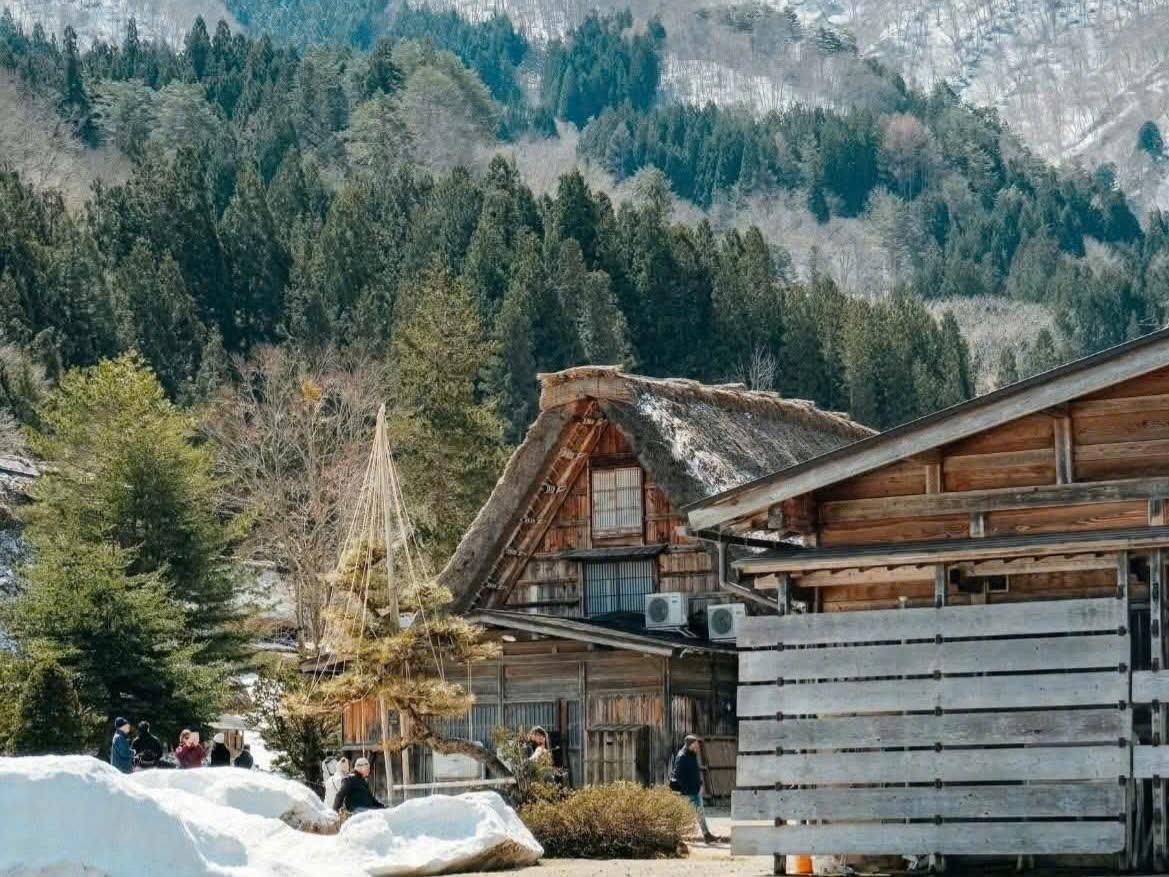 5 h&agrave;nh tr&igrave;nh săn tuyết được kh&aacute;ch Việt y&ecirc;u th&iacute;ch- Ảnh 4.