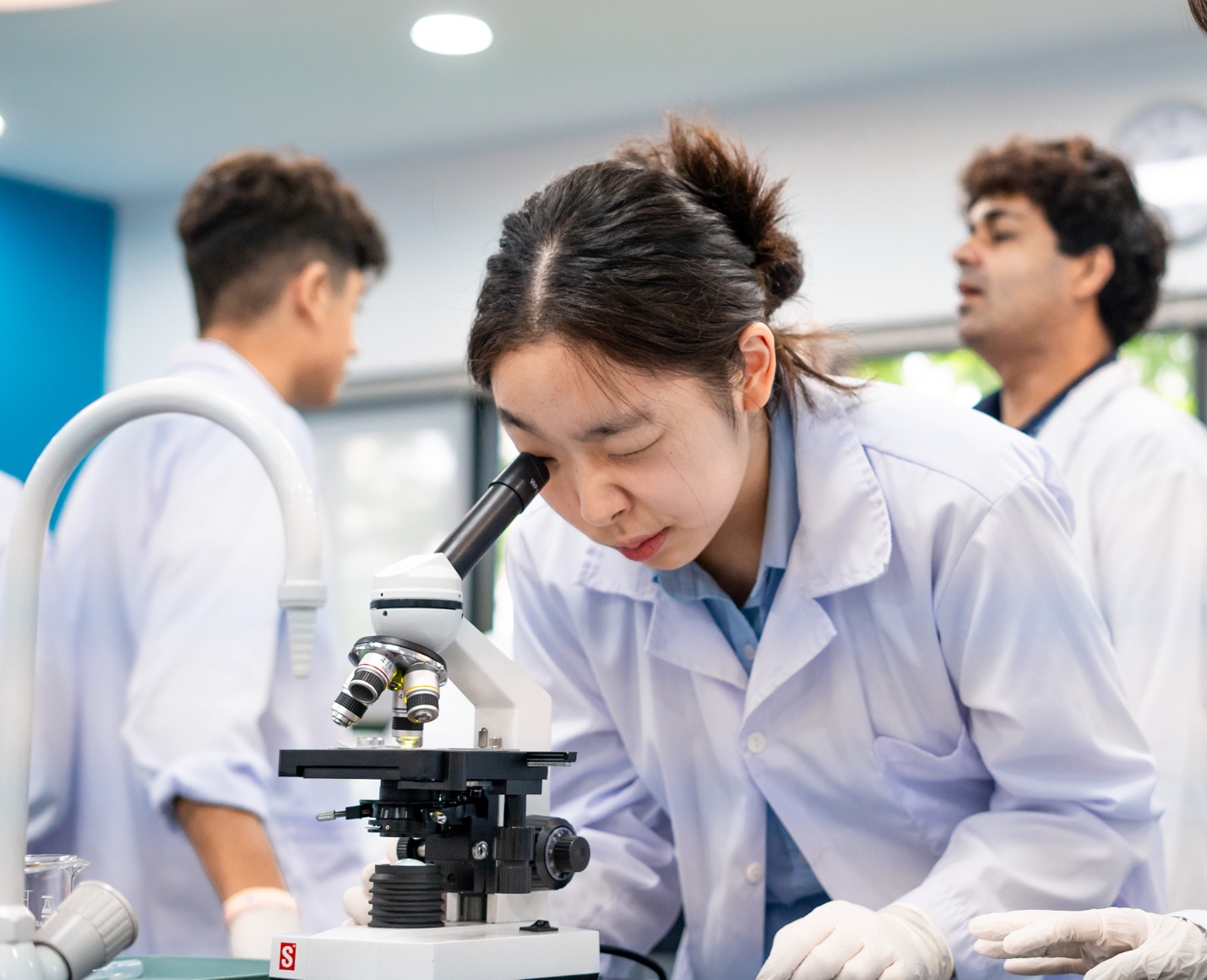 Trường Quốc tế Westlink được c&ocirc;ng nhận th&agrave;nh IB World School cho cấp Trung học- Ảnh 1.