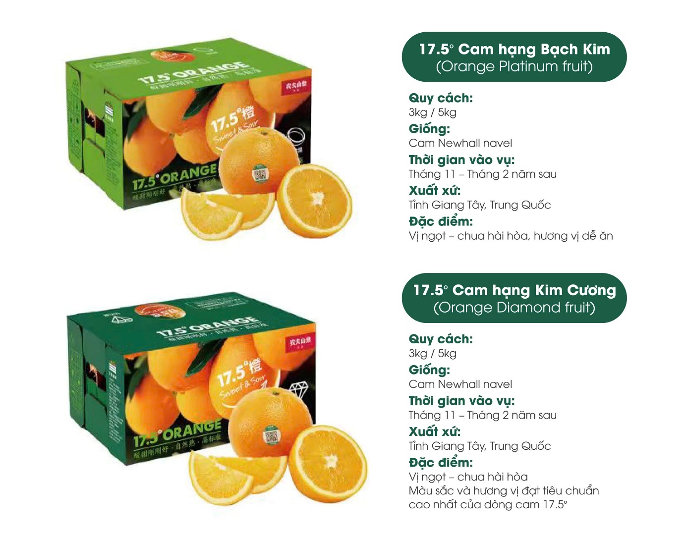 Cam 17.5&deg; Nongfu Spring nổi tiếng tại Trung Quốc sắp về Việt Nam- Ảnh 4.