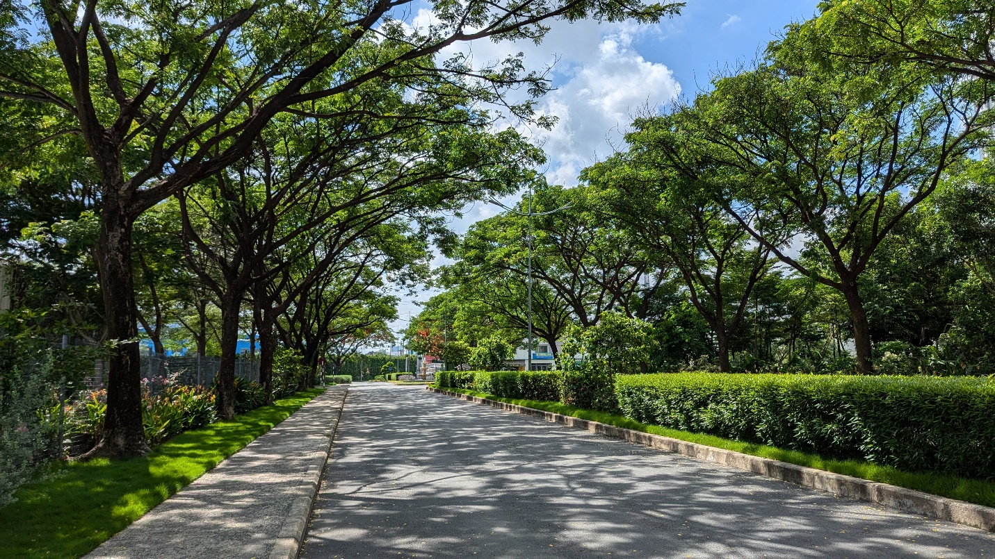 S P Setia v&agrave; h&agrave;nh tr&igrave;nh thổi hồn v&agrave;o những &ldquo;biểu tượng sống&rdquo; to&agrave;n cầu- Ảnh 1.