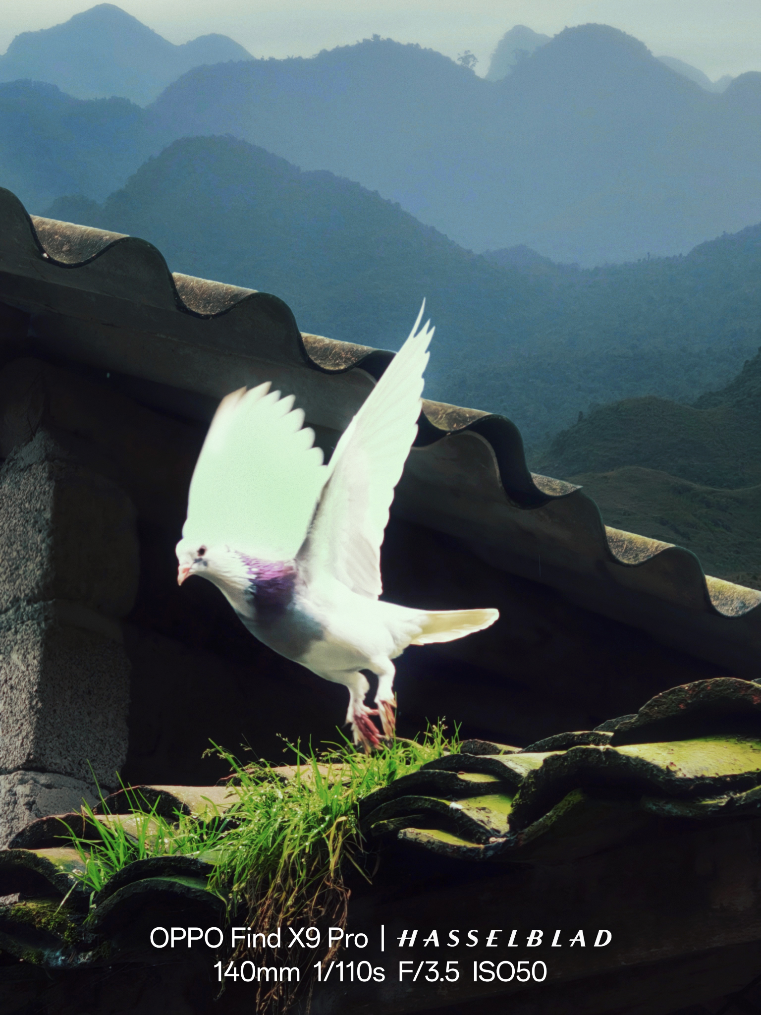 Sắc m&agrave;u v&ugrave;ng n&uacute;i ph&iacute;a Bắc được n&acirc;ng niu qua ống k&iacute;nh OPPO Find X9 Pro- Ảnh 5.