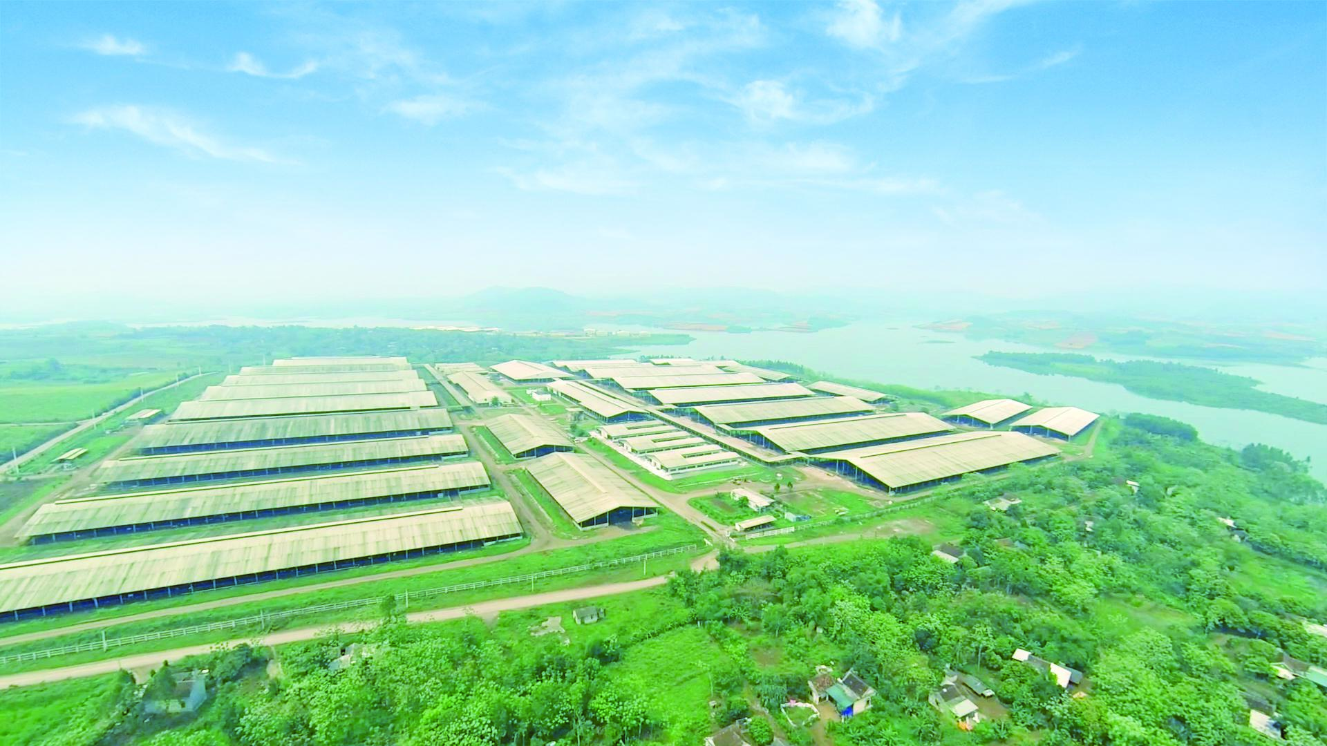 C&aacute;nh đồng hướng dương tại miền T&acirc;y Nghệ An: Toạ độ check-in b&ugrave;ng nổ cho hội chị em những ng&agrave;y cuối năm- Ảnh 11.