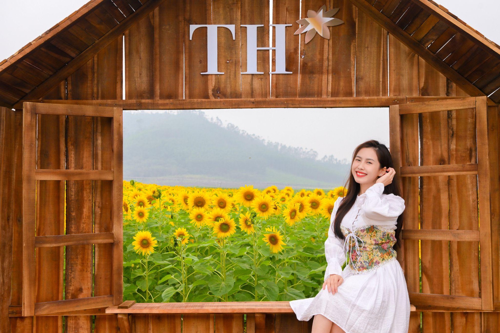 C&aacute;nh đồng hướng dương tại miền T&acirc;y Nghệ An: Toạ độ check-in b&ugrave;ng nổ cho hội chị em những ng&agrave;y cuối năm- Ảnh 4.