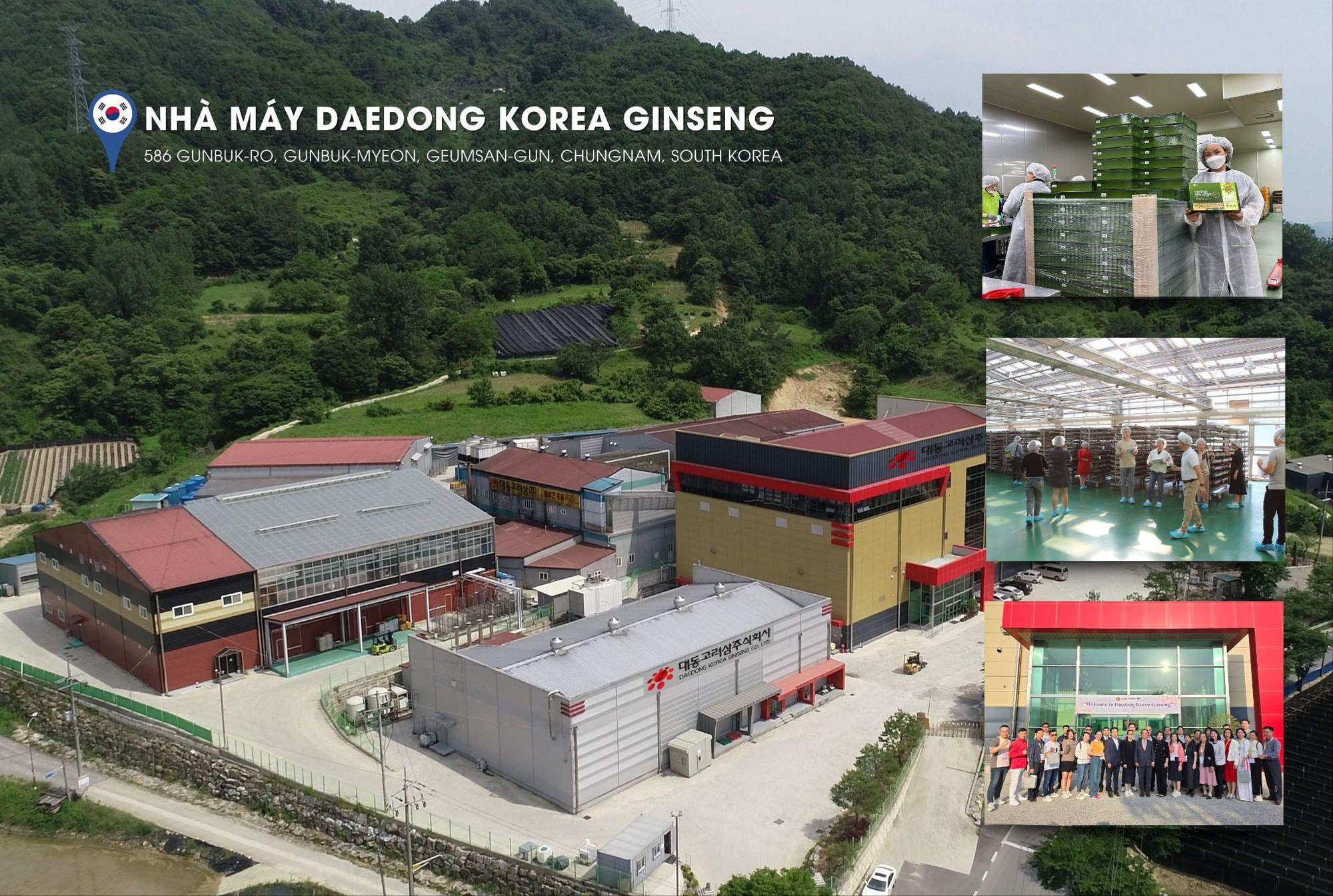 DKG trở th&agrave;nh lựa chọn qu&agrave; Tết của nhiều doanh nghiệp năm 2026- Ảnh 4.